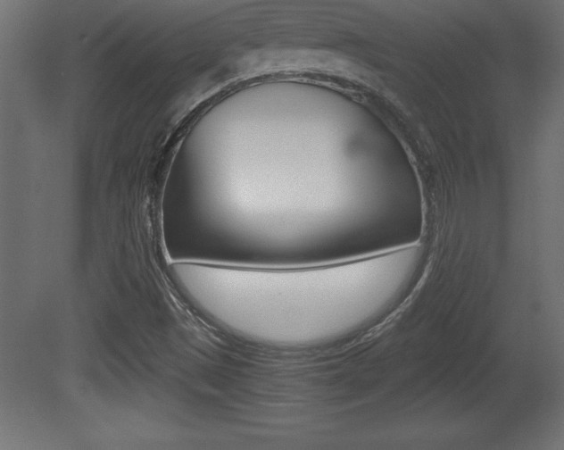 X0000081451497200701121001