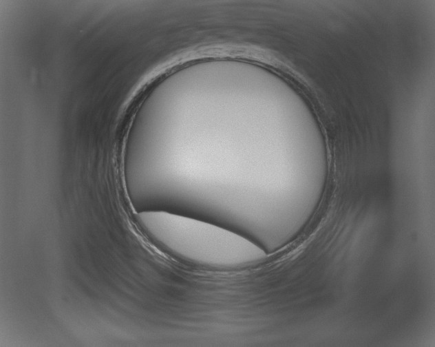X0000081451498200701121001
