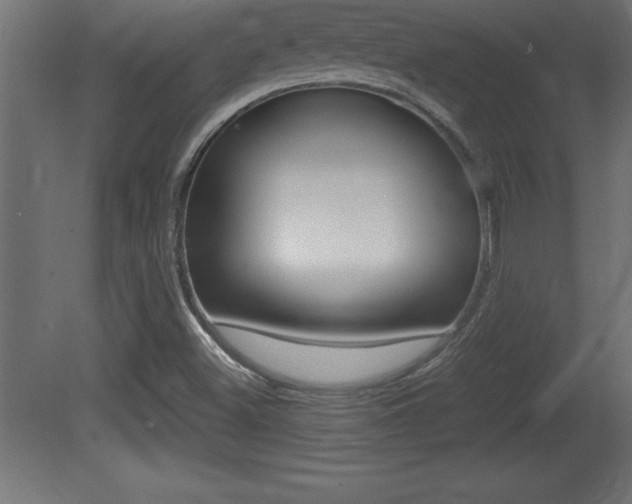 X0000081451500200701121001