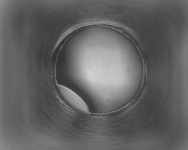 X0000081451501200701121001