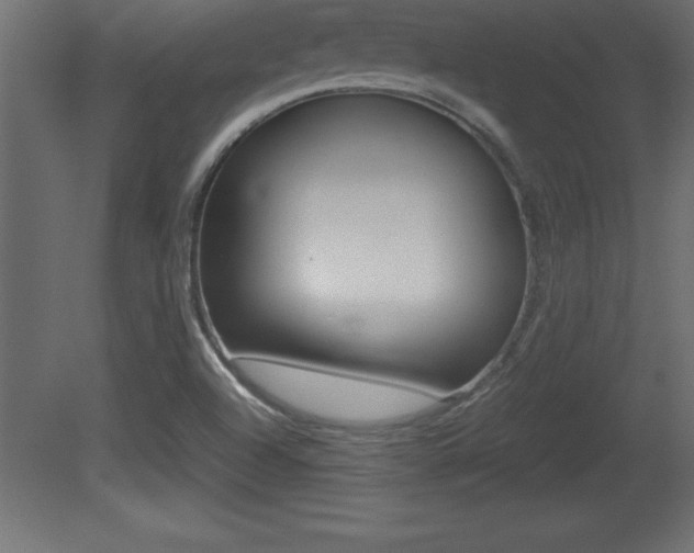 X0000081451504200701121001