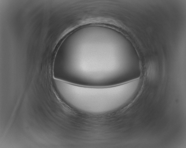 X0000081451505200701121001