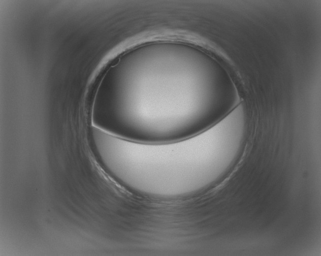 X0000081451506200701121001