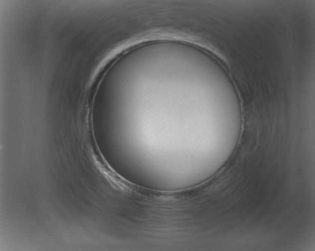 X0000081451507200701121001