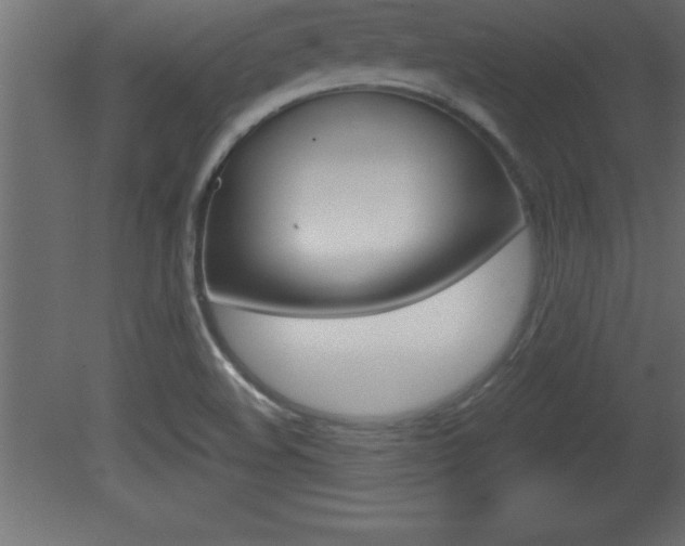 X0000081451508200701121001