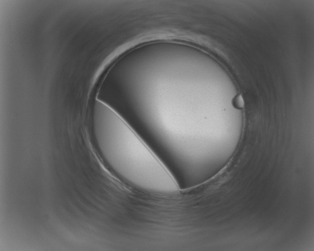 X0000081451509200701121001