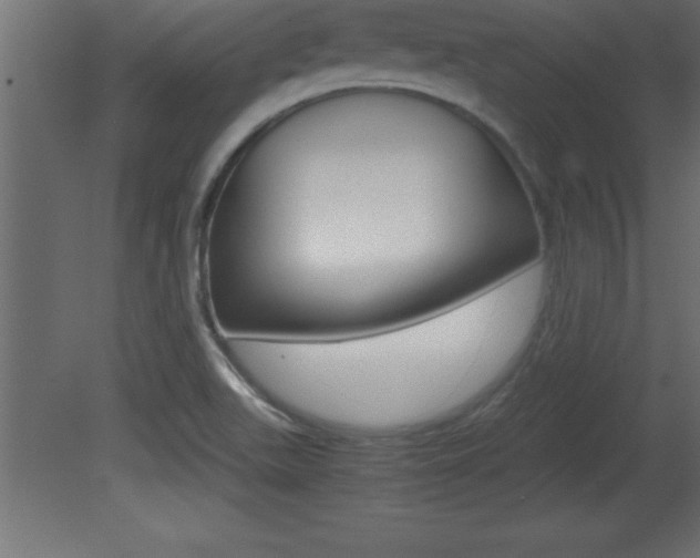 X0000081451511200701121001