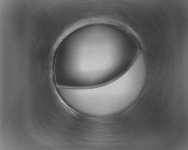 X0000081451512200701121001