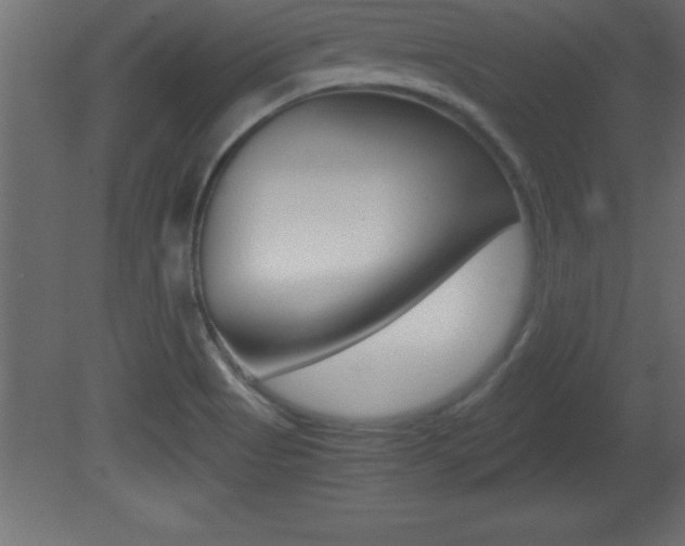 X0000081451513200701121001