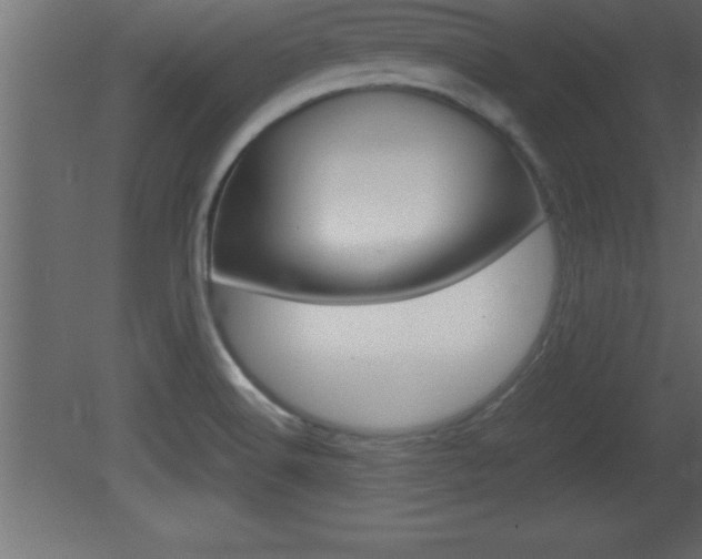 X0000081451516200701121001