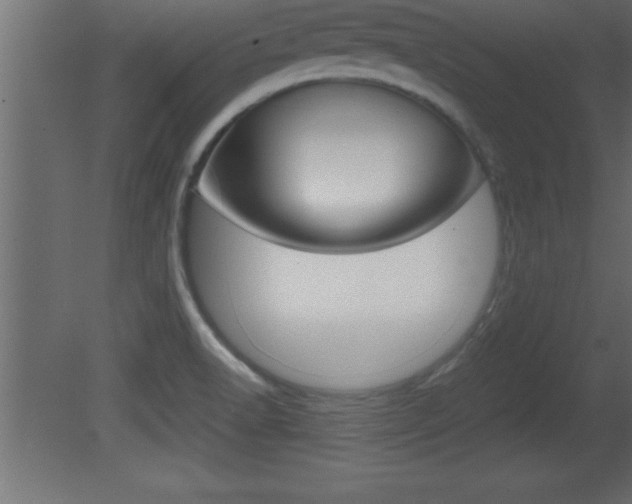 X0000081451518200701121001