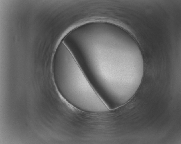 X0000081451527200701121001