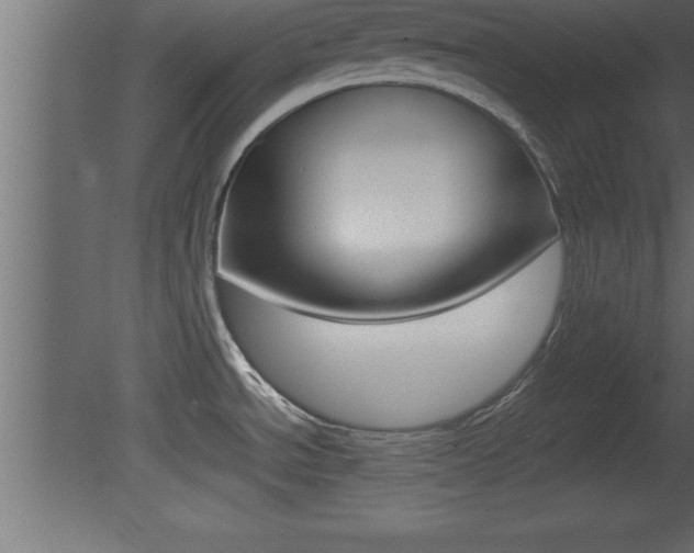 X0000081451534200701121001