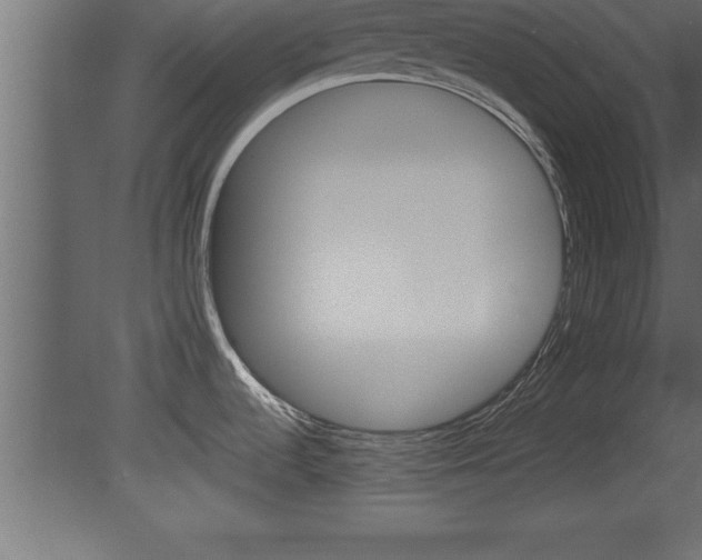 X0000081451536200701121002