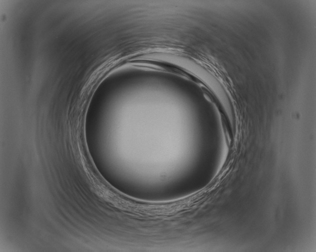 X0000081450001200701121244