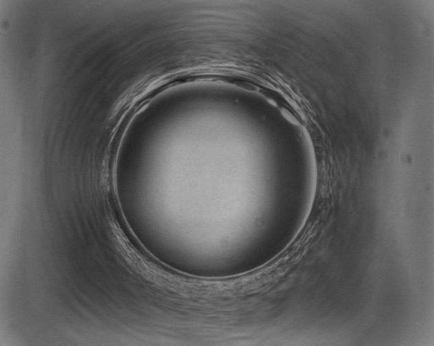 X0000081450002200701121244