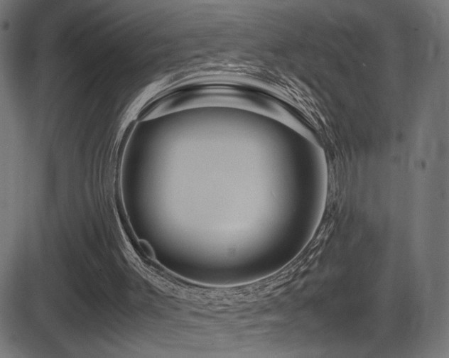 X0000081450003200701121244