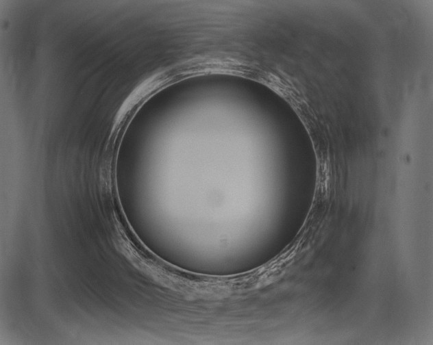 X0000081450004200701121244