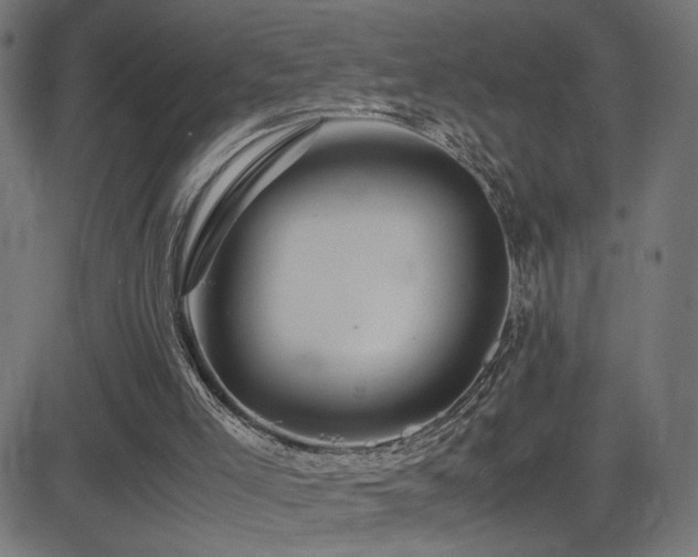 X0000081450005200701121244