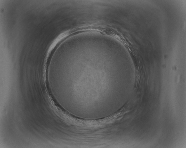 X0000081450006200701121244