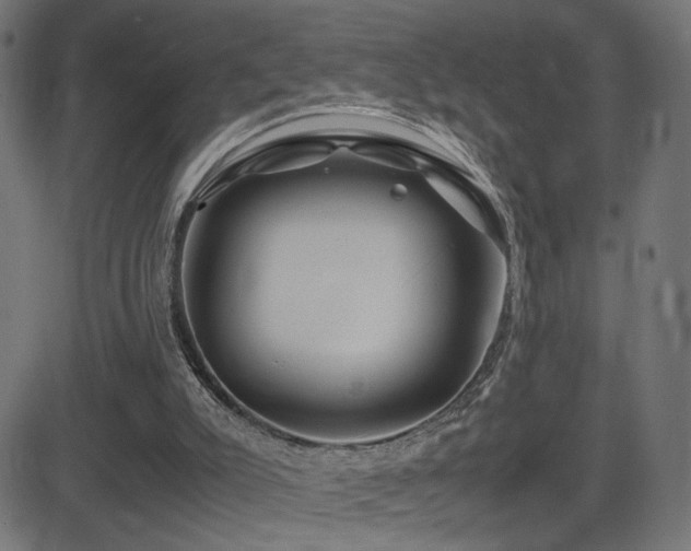 X0000081450007200701121244