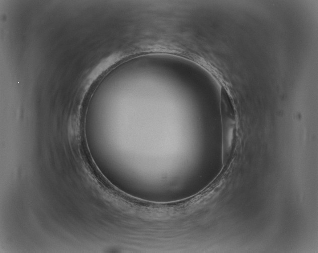 X0000081450008200701121244