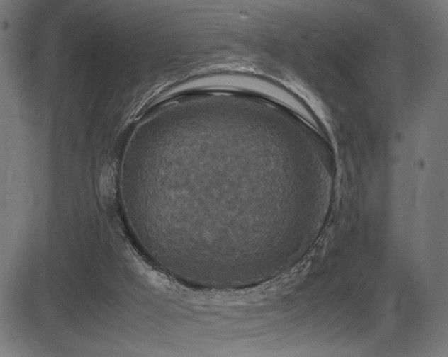 X0000081450009200701121244