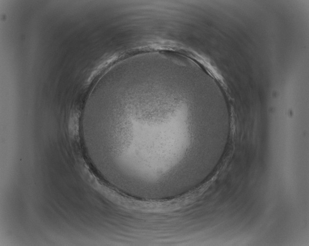 X0000081450010200701121244