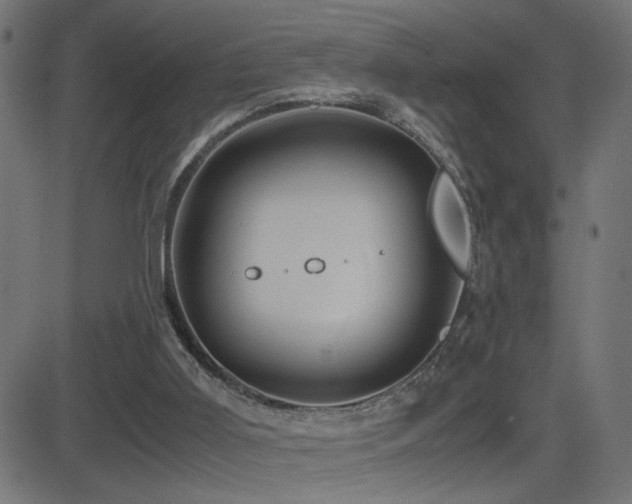 X0000081450011200701121244