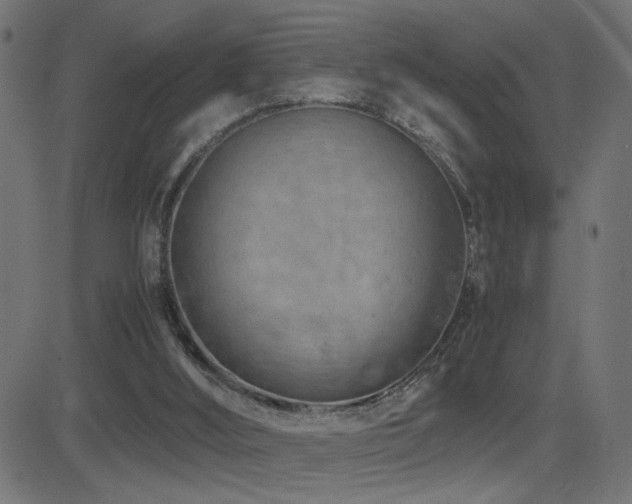 X0000081450012200701121244