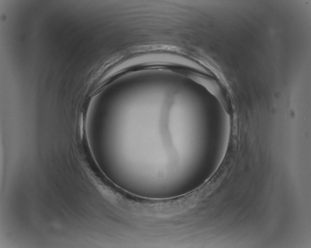 X0000081450013200701121244