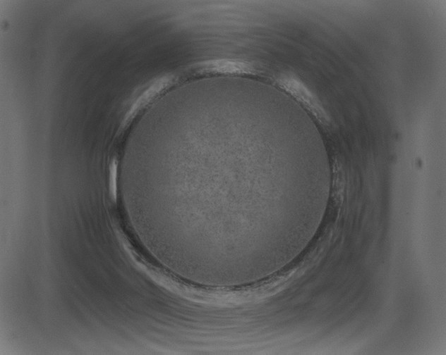 X0000081450014200701121244