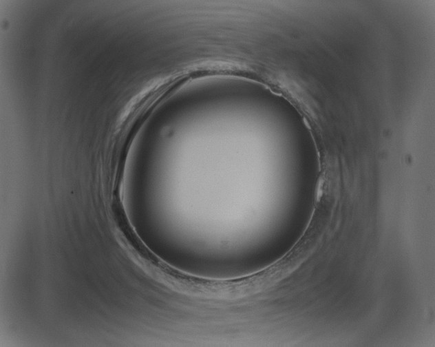 X0000081450015200701121244