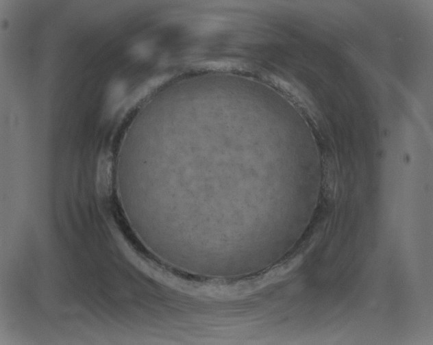 X0000081450016200701121243