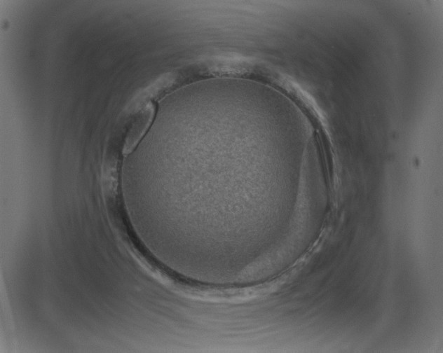 X0000081450017200701121243