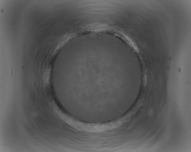 X0000081450018200701121243