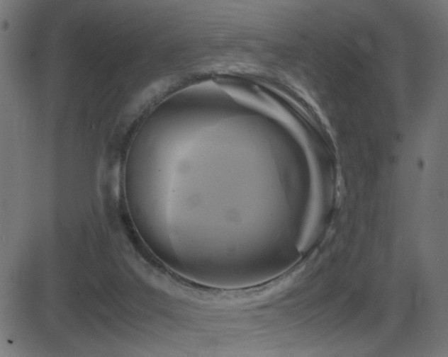 X0000081450019200701121243