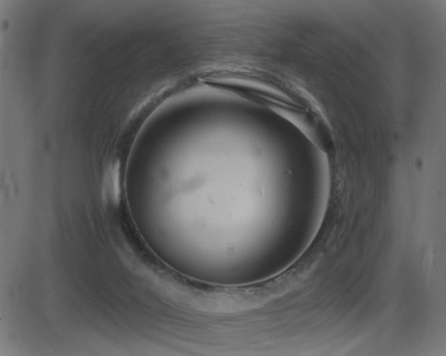 X0000081450020200701121243