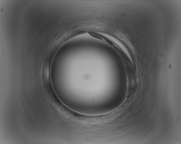 X0000081450021200701121243