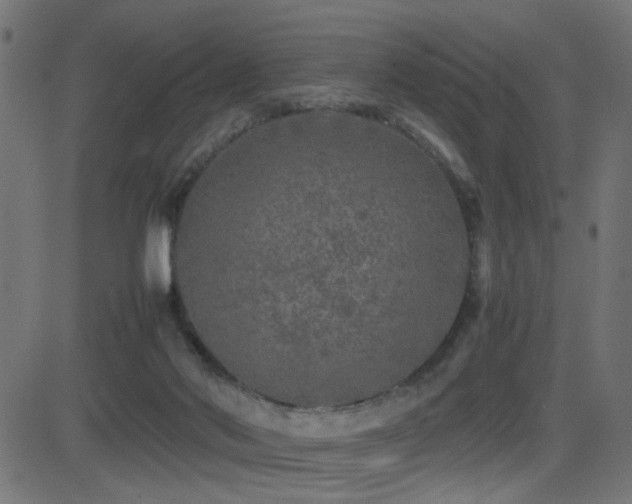 X0000081450022200701121243