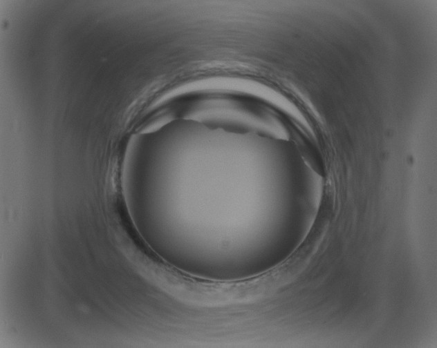 X0000081450023200701121243