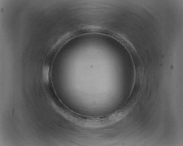 X0000081450024200701121243