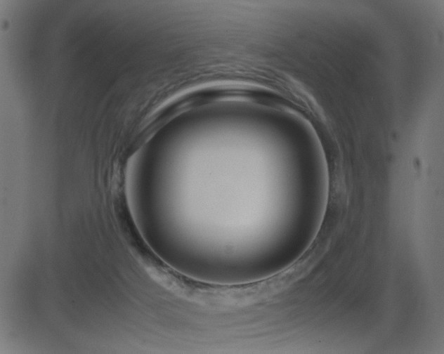 X0000081450025200701121243