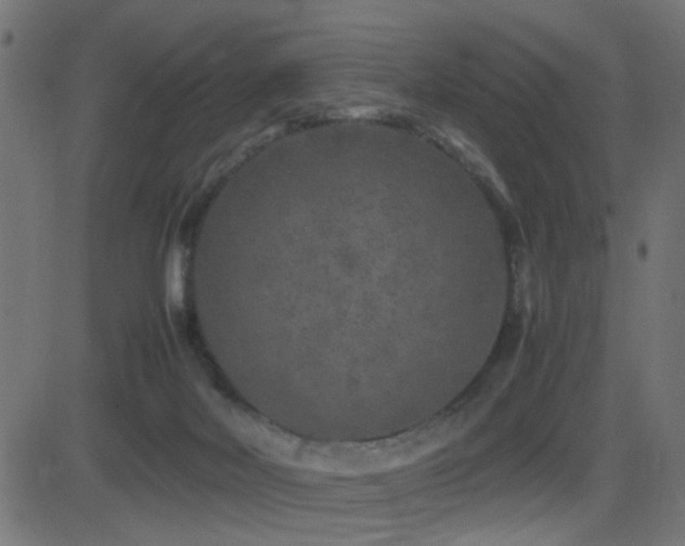 X0000081450026200701121243