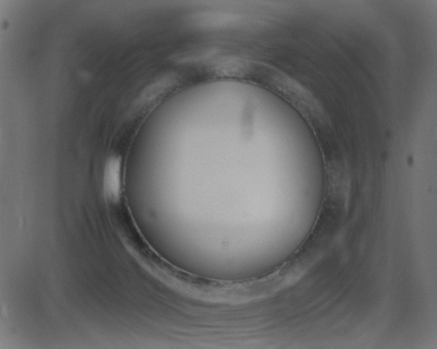 X0000081450028200701121243