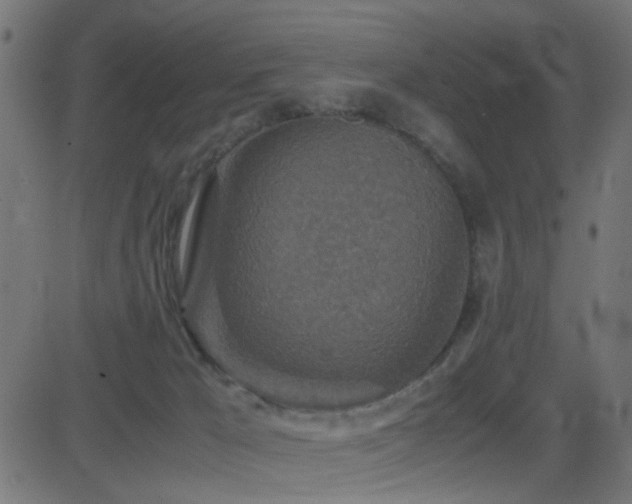 X0000081450029200701121243