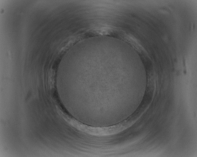 X0000081450030200701121243