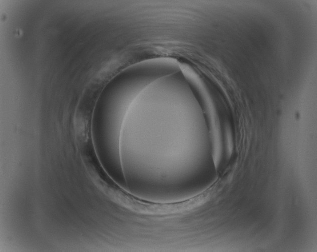 X0000081450031200701121243