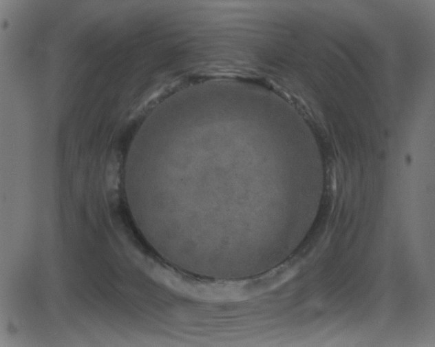 X0000081450032200701121243