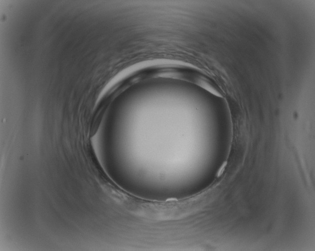 X0000081450033200701121243